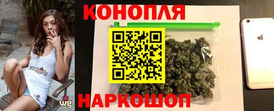 гидра Камышлов