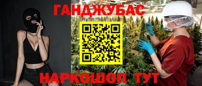 гидра Камышлов