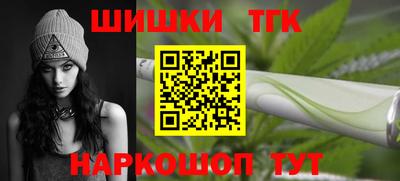 гидра Камышлов