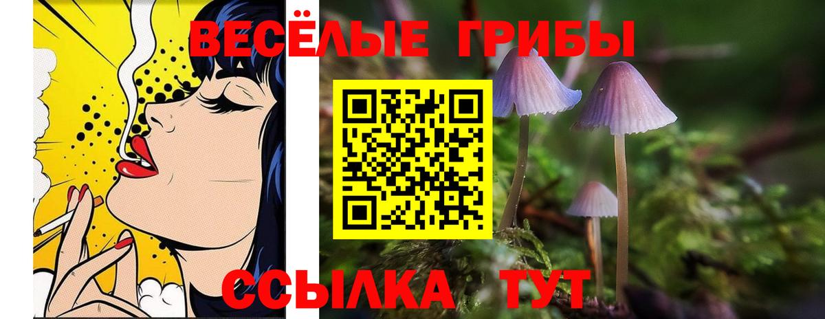 Псилоцибиновые грибы мухоморы  Вход с VPN  Галлюциногенные грибы мицелий  Дагестанские Огни 